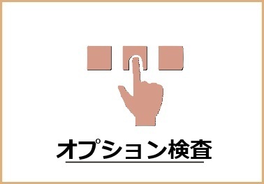 オプション検査